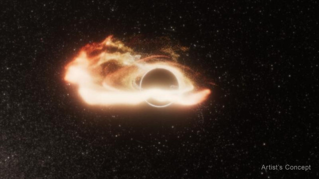 銀河の中心にいないはぐれ者ブラックホール、星を「つまみ食い」する姿を見られてしまう
