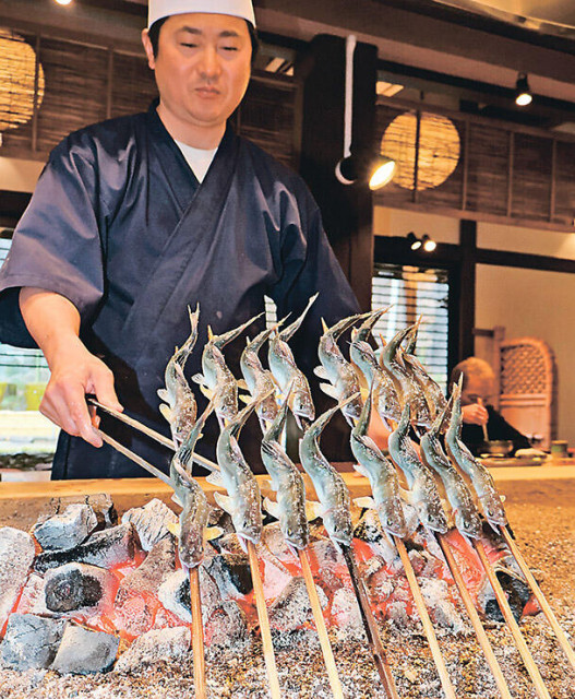 生粋の庄川鮎を味わって　富山県砺波市の「鮎や」で提供始まる