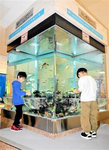 食事中の魚くっきり　福井県海浜自然センターが水槽新装　若狭町