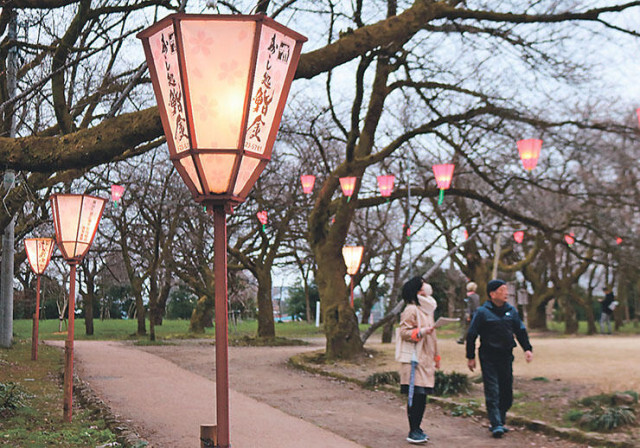 高岡古城公園のぼんぼり点灯　４月１日から桜まつり