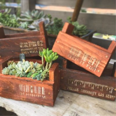 雑貨品を使って観葉植物をおしゃれに飾ろう!