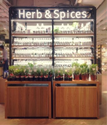 ハーブを観葉植物として育ててみよう!