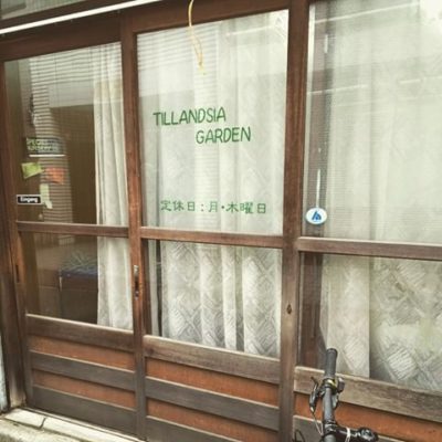 エアープランツの聖地・チランジアガーデンとは?