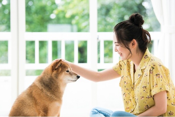 思わず崇めたくなる神々しさ！ 1.7万いいねを集めた、心をくすぐるワンコの姿とは？！