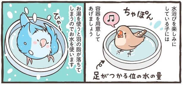 【小鳥のトリセツ】毎日のお世話でしっかり健康管理。水浴びにお湯はNGなど注意点も解説