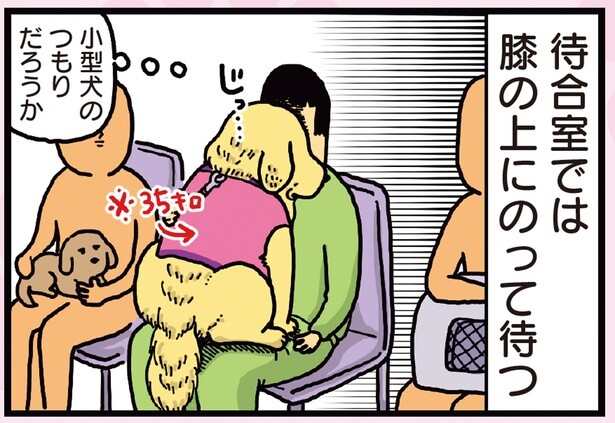 小型犬のつもりか？ 動物病院に行った犬の怯えっぷりがハンパない