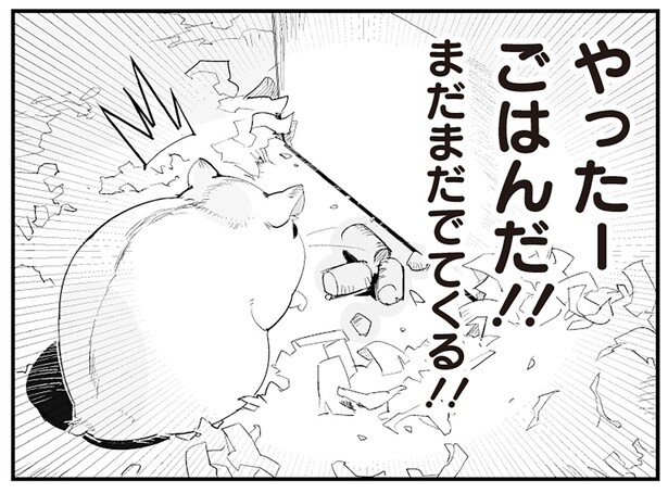 自分で貯めたごはんを「大発見」!? がんばって夢中で集めるハムスター