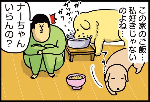 急に欲するやん。自分が残したごはんが他の子に食べられそうになった犬の行動
