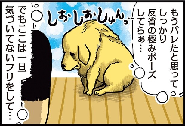 イタズラがバレたときの表情がスゴい。反省してる仕草だけはプロ級の犬