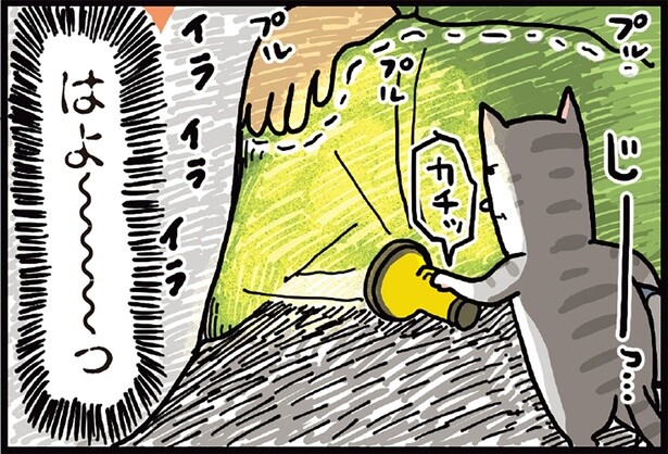 おそるおそるが過ぎる！ 警戒心MAXな猫が布団に入るまでが長い件