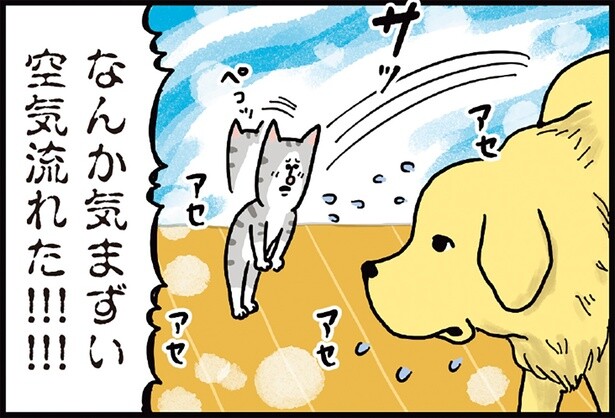 動物にも気まずい瞬間ってあるんだ。衝突しそうになった犬と猫の話