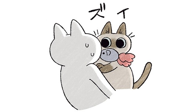 うたた寝する飼い主をおもちゃが襲う！ 猫の強引な遊びへのお誘い