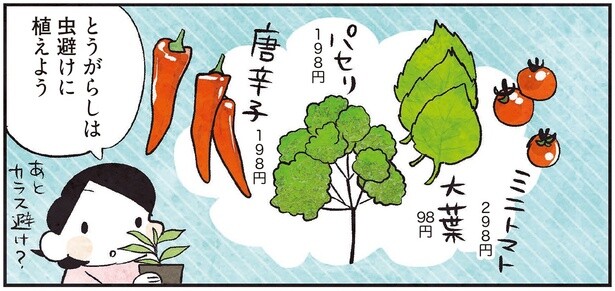 【しあわせ趣味時間】次の夏は何を育てよう？ 新鮮野菜を楽しむ「家庭菜園」