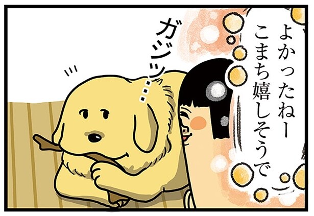 犬の「自慢モード」が怖すぎる！ 大きな乾燥肉を咥え周りをうろつく危機的状況
