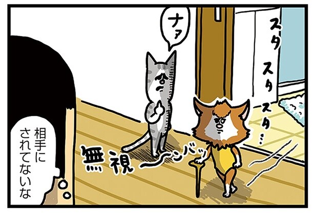 「相手にされてないな」新入り猫をリビングに解き放ったら