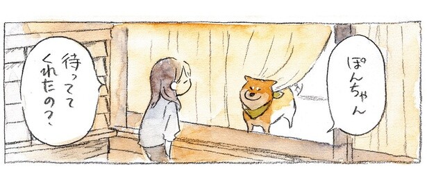 ファンサ終了？ 窓際から飼い主をお出迎えしてくれる柴犬の表情が個性的