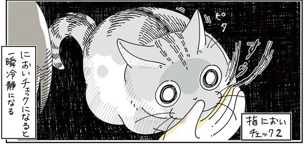 急に冷静になるのは何!? 飼い主の指の匂いをかぐ猫のテンションが謎