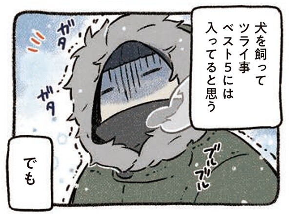 寒さが苦手な飼い主。けれど、犬を歩く冬の道はなんだか嬉しくて