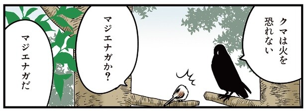 シマエナガが山を買う!? 「夜はBBQをしましょう」という発言にカラスはどうツッコむ？