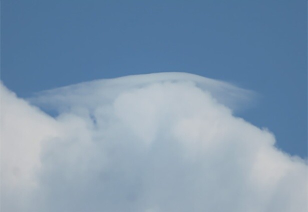 【防災の超図鑑】天気の急変の可能性が分かる？ 雲や空を見て天気がどう変わるのかを察知する「観天望気」