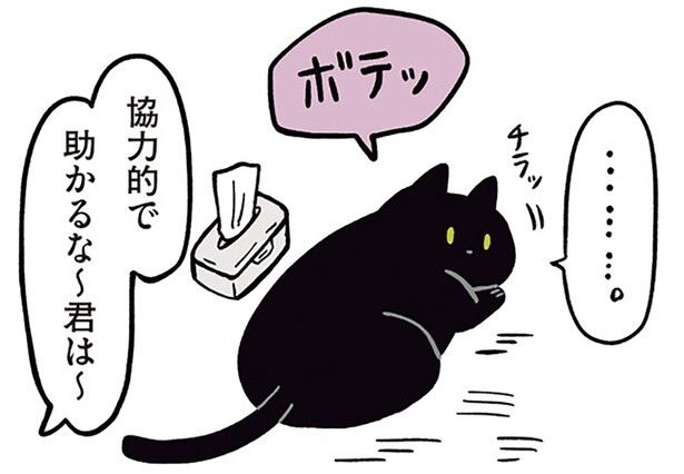 「協力的で助かる〜」飼い主が感心する黒猫ろんのブラッシング