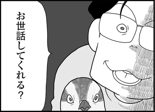 自分もお世話されたい。ペットの世話をする妻に“モラハラかまって夫”が見せた異様すぎる言動