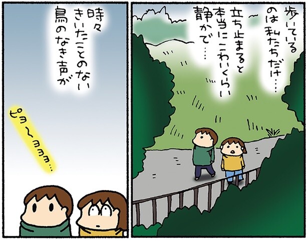東京の大自然を間近に！秋の絶景を楽しむ奥多摩巡り・前編／松本ぷりっつの夫婦漫才旅 ときどき3姉妹 NO密さんぽ編（7）