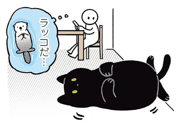 ラッコみたいでかわいい！黒猫ろんのシャッターチャンスを狙う飼い主