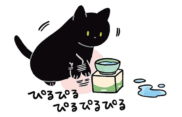水を飲み終わったあとに腕先をぴるぴる。黒猫ろんの謎の癖が知りたい！