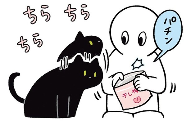 もしかしてボクのですか？飼い主の食べ物に興味津々の黒猫ろん