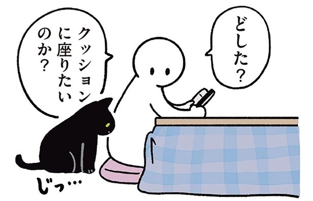 クッションに座りたい黒猫ろん。平和的に解決した飼い主の提案とは