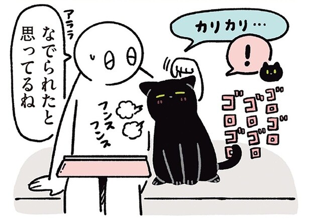 なでられてうれしい〜！何事もポジティブにとらえる黒猫ろん