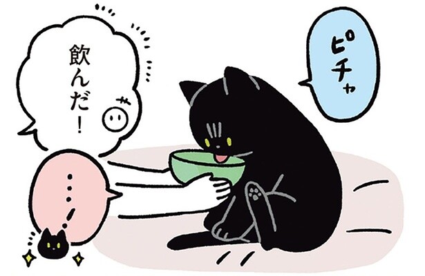 飲んでくれればなんだっていい！黒猫ろんに水を飲ませたい飼い主の献身
