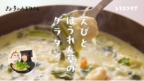 本格派なのにフライパン1つで完成！「えびとほうれん草のグラタン」
