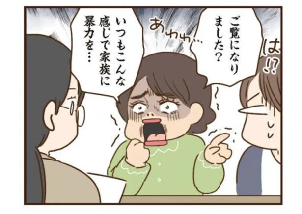 嘘ばかり吐くトンデモ義母と義姉。虐待疑惑をでっちあげられ大迷惑！／家族を乗っ取る義姉と戦った話（11）