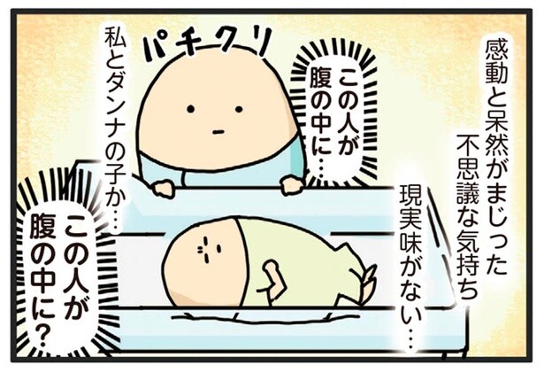 出産した感想は？感動と呆然が入り混じった不思議な気持ち！