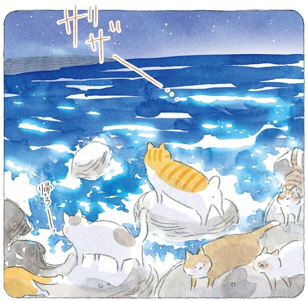朝にはじいちゃんの布団にすっぽり。たくましい島猫たちの夜の姿