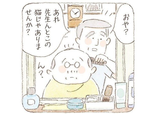 「先生のとこの猫じゃありません？」外で見かけたご機嫌な島の猫たち