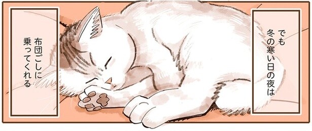 私の膝に絶対乗ってくれない猫だけど、冬の寒い夜だけ布団ごしに