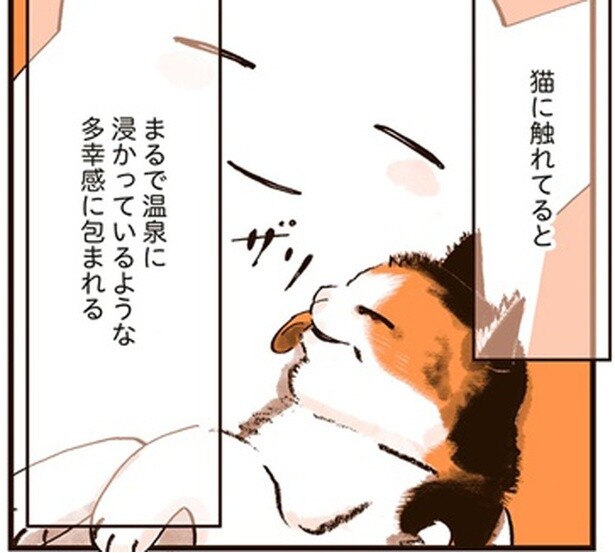 仕事でくたくたに疲れた時、2匹の猫が与えてくれる多幸感