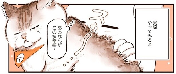 やってみるまで分からなかったけれど。「猫を吸う」至福の時間