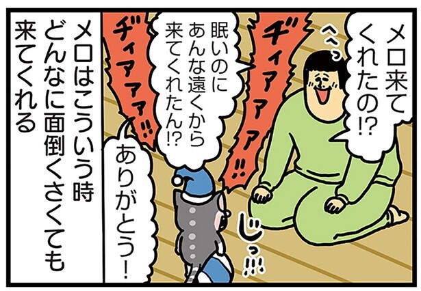 優しさが身にしみる！ どんなに面倒でもそばに来てくれる優しい猫