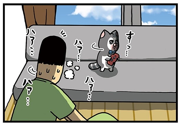 飼い主がなんか、すまんな。家ヨガをしていたら猫に目をそらされて