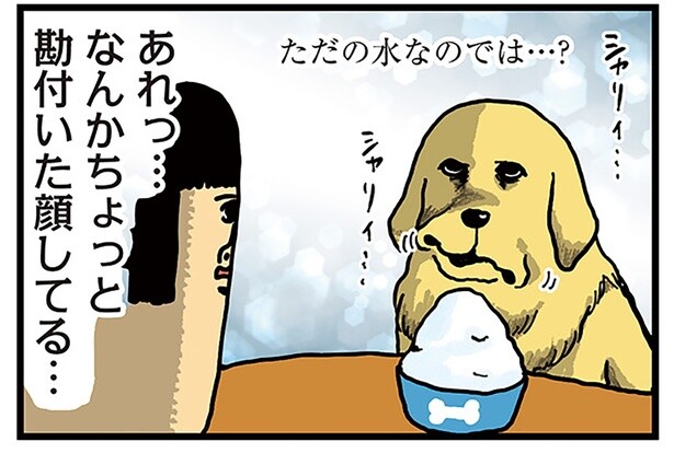 ちょっと勘づいてる？ かき氷と見せかけた「ただの氷」にジト目の犬