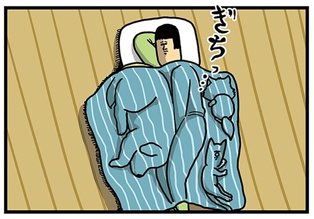 こたつ撤去後の悲しみ。ブランケットでのお昼寝、どうもうまくいかなくて