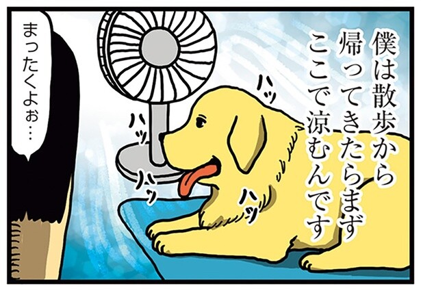 犬のこだわりが強すぎる！ 「散歩終わりは5分涼みます」いいから水を飲んでください