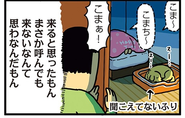 絶対来てくれると思ってました。飼い主を見捨て、温かい部屋でぬくぬくする犬