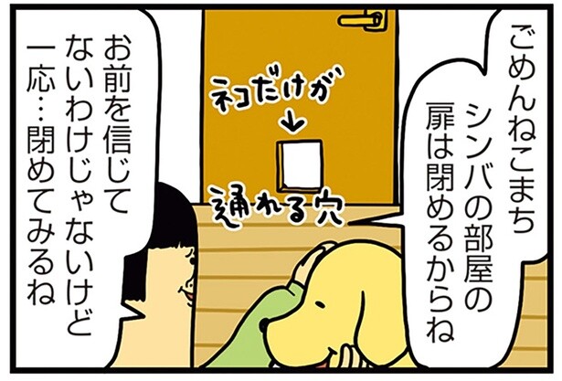 愛犬を信じてないわけじゃないけど。他の子のエサを食べている疑惑が浮上して