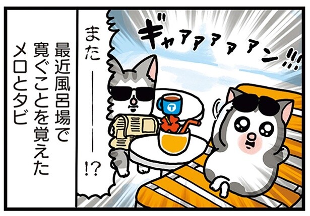 風呂場で寛ぐな！ 愛猫2匹が、風呂場に入る隙を常に狙っています