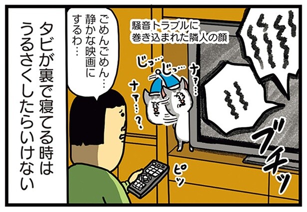 昼寝を邪魔してごめん。テレビ裏で寝るのが好きな猫に配慮した結果